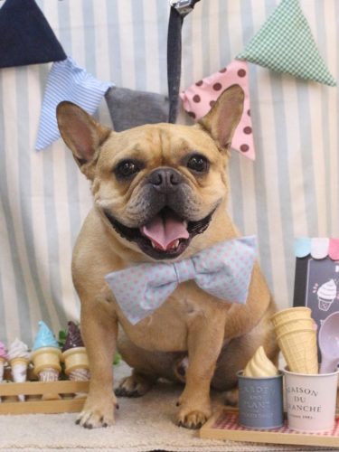 20250531力也くん